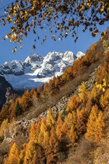 Images Dated 9th November 2015: Masino valley in autumn, in the background Ferro peaks, Lombardy, Italy