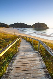 Matapouri Beach at sunrise, Tutukaka Coast, Northland, North Island, New Zealand
