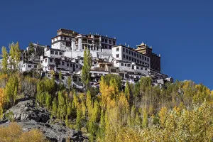 Gompa Prints: Matho Monastery, Ladakh, North India, Asia