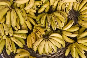 Images Dated 11th October 2008: Mauritius, Port Louis, Central Market, bananas