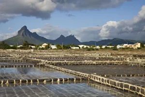 Images Dated 12th February 2009: Mauritius, Western Mauritius, Tamarin, Montagne du Rempart mountain (el