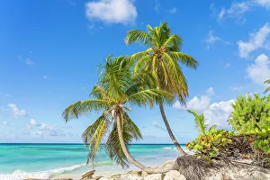 Barbados Prints: Maxwell Beach, Barbados, Caribbean