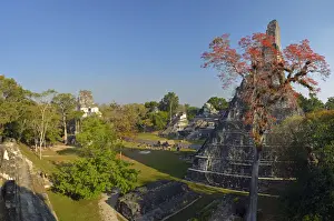 Maya Archaeologial Site Tikal, Tikal National Park, Peten, Mundo Maya, Guatemala