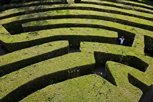 Images Dated 28th June 2011: Maze, The Veneto, Italy