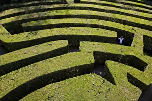Maze Prints: Maze, The Veneto, Italy