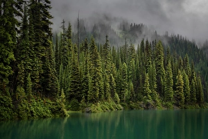 Revelstoke Prints: Mccrae Lake, Revelstoke, British Columbia, Canada
