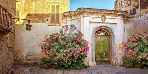 Mdina Prints: Mdina (old capital of Malta), Malta