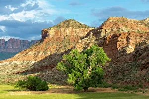 Washington County Prints: Meadow and rocks along Merced River near Rockville, Washington County, Utah, USA