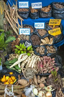 Amazon Collection: Medicinal herbs and traditional medicine for sale in the Belen Market, Iquitos, Loreto