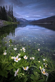 Medicine Lake Prints: Medicine Lake, Jasper National Park, Alberta, Canada
