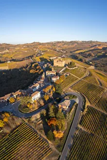 Curves Prints: medieval Castello di Grinzane Cavour. Grinzane Cavour, Langhe, Piedmont, Italy