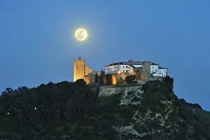 Arrabida Collection: The medieval castle of Palmela in a full moon night. Portugal