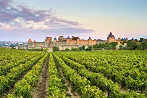 La Cite Prints: Medieval citadel of La Cita at sunrise, Carcassonne, Aude Department