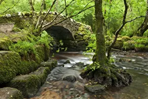 Medieval Hisley Bridge spanning the River Bovey in Hisley Wood, Dartmoor, Devon, England