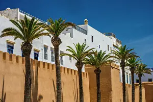 City Walls Prints: Medina buildings, Essaouira, Essaouira, Morocco