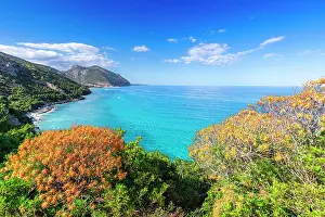 Province Of Nuoro Prints: Mediterranean vegetation with view on coast of Cala Gonone
