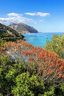 Province Of Nuoro Prints: Mediterranean vegetation with view on coast of Cala Gonone