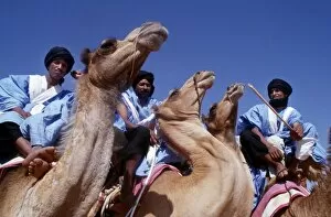 Moslem Gallery: Meharistes, Soldiers Of The Desert, annual camel race