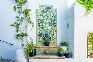 Plants Prints: Melenos Boutique Hotel, Lindos, Rhodes, Dodecanese Islands, Greece