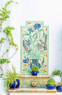 Plants Prints: Melenos Boutique Hotel, Lindos, Dodecanese Islands, Greece