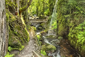 Images Dated 27th October 2021: Menzenschwand Waterfalls, Menzenschwand near St. Blasien, Southern Black Forest