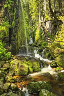 Images Dated 27th October 2021: Menzenschwand Waterfalls, Menzenschwand near St. Blasien, Southern Black Forest