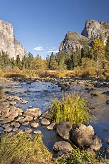 Images Dated 6th January 2015: Merced River in Yosemite Valley, California, USA. Autumn (October)