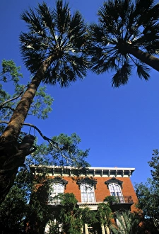 The Mercer House