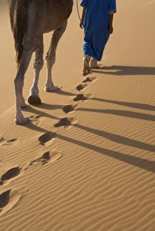 Sahara Desert Gallery: Merzouga, Erg Chebbi, Sahara Desert, Morocco