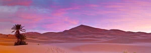 Sand Dunes Gallery: Merzouga, Sahara Desert, Morocco