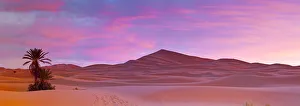 Sahara Desert Gallery: Merzouga, Sahara Desert, Morocco