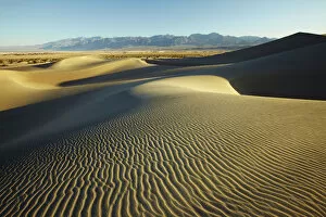 Images Dated 13th March 2009: Mesquite Dunes, Stovepipe Wells, Death Valley National Park, California, USA