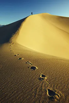Desolate Gallery: Mesquite Dunes, Stovepipe Wells, Death Valley National Park, California, USA