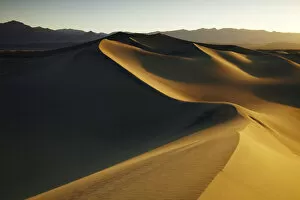 Images Dated 13th March 2009: Mesquite Dunes, Stovepipe Wells, Death Valley National Park, California, USA