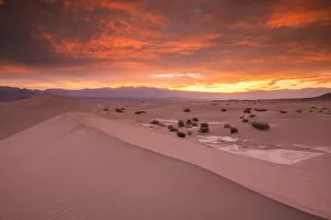 Images Dated 25th April 2014: Mesquite Dunes at Sunrise, Death Valley National Park, California, USA