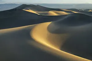 Sand Dunes Prints: Mesquite Dunes at Sunrise, Death Valley National Park, California, USA