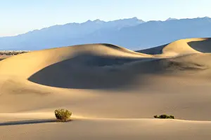 Mesquite Flat Sand Dunes, Death Valley National park, California, USA
