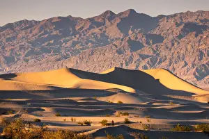 Sand Dunes Prints: Mesquite flat sand dunes, Death Valley National Park, California, USA