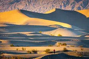 Sand Dunes Prints: Mesquite flat sand dunes, Death Valley National Park, California, USA