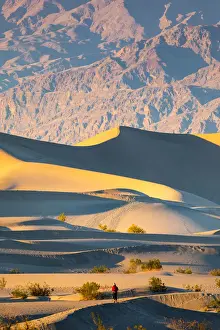 Mezquite Sand Dunes Prints: Mesquite flat sand dunes, Death Valley National Park, California, USA