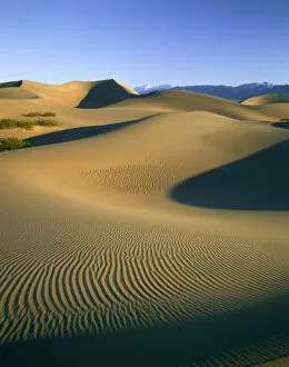 Mesquite Sand Dunes, Death Valley National Park, California, USA
