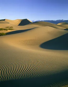 Mesquite Sand Dunes, Death Valley National Park, California, USA Mesquite Sand Dunes, Death Valley National Park, California, USA