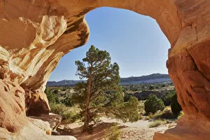 Images Dated 6th December 2012: Metate Arch, Devils Garden, Grand Staircase National Monument, Colorado Plateau