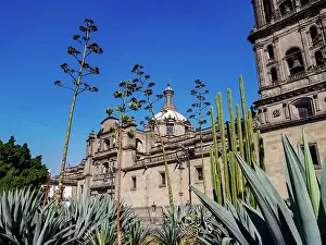 Zocalo Prints: Metropolitan Cathedral, Zocalo or Constitution Square, Mexico City, Mexico