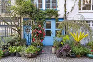 Images Dated 24th March 2022: Mews houses, Paddington, London, England, UK