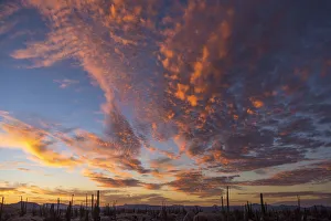 Mexico, Baja California, catavinia, sunrise in the boulder fields Mexico, Baja California, catavinia, sunrise in the boulder fields
