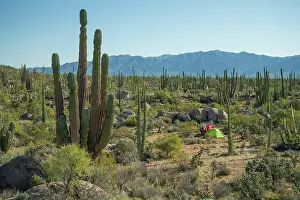 Road Trip Prints: Mexico, Baja California, Desert Camp, Central baja