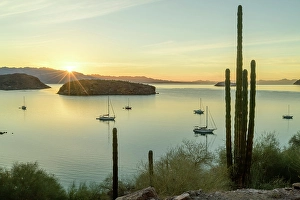 Star Prints: Mexico, Baja California Sur, Bahia Concepcion, sunrise