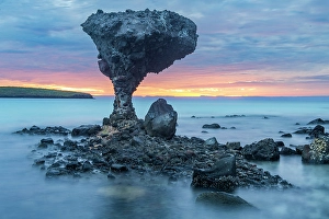 La Paz Prints: Mexico, Baja California Sur, La Paz, Playa Balandra, Mushroom roclk