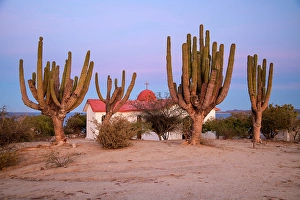 La Ventana Prints: Mexico, Baja California Sur, La Venatna, church and cardon cactus